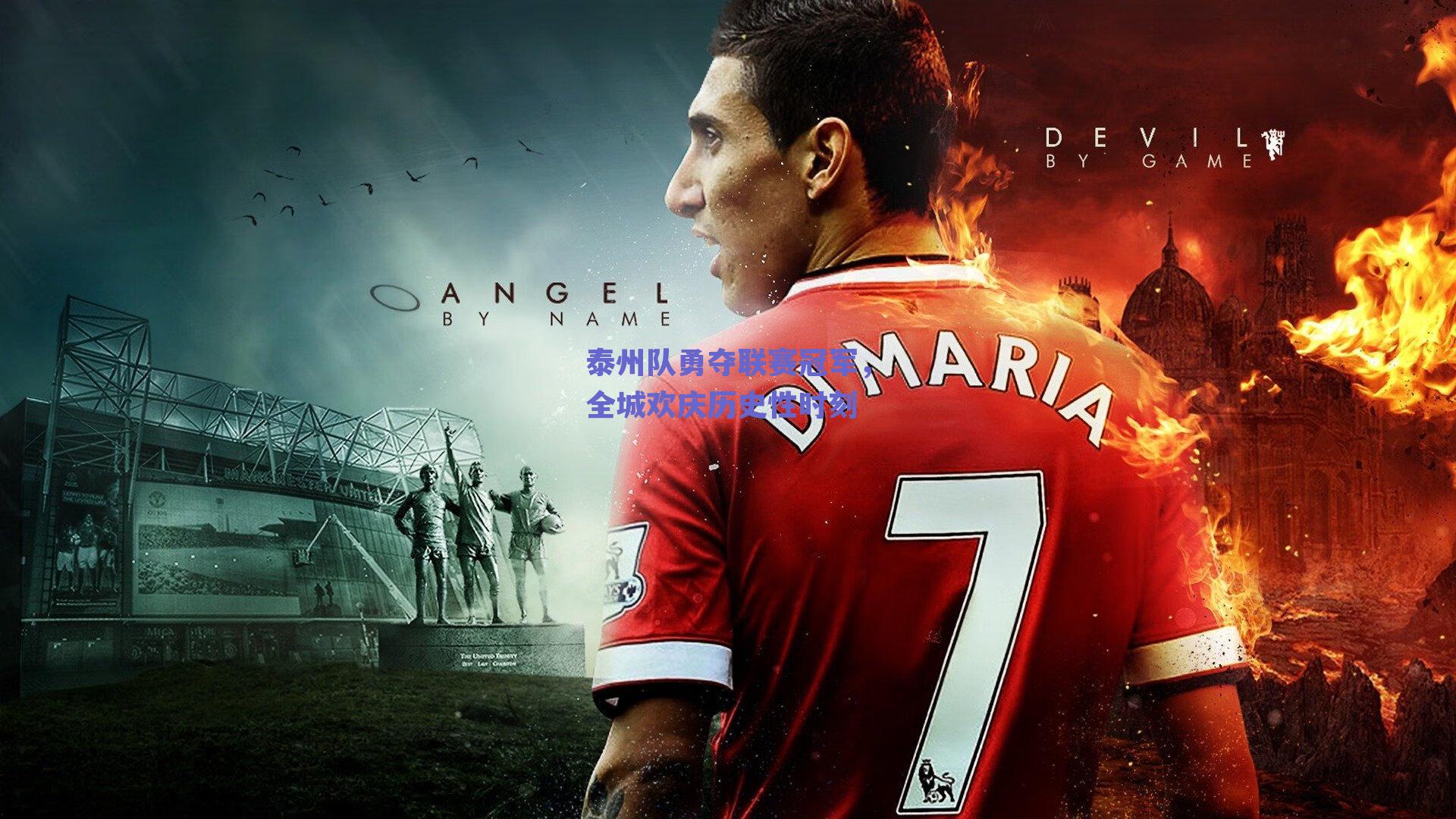 泰州队勇夺联赛冠军，全城欢庆历史性时刻