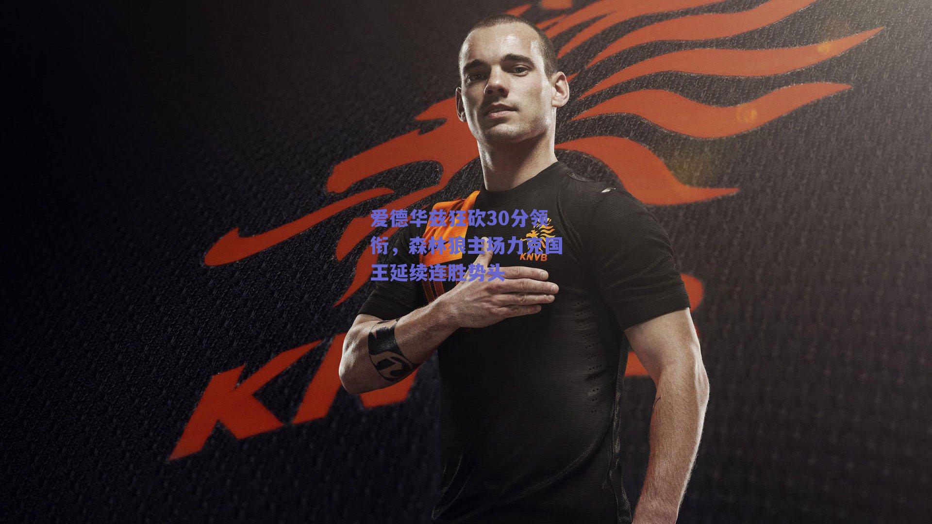 ng体育中国官网：爱德华兹狂砍30分领衔，森林狼主场力克国王延续连胜势头