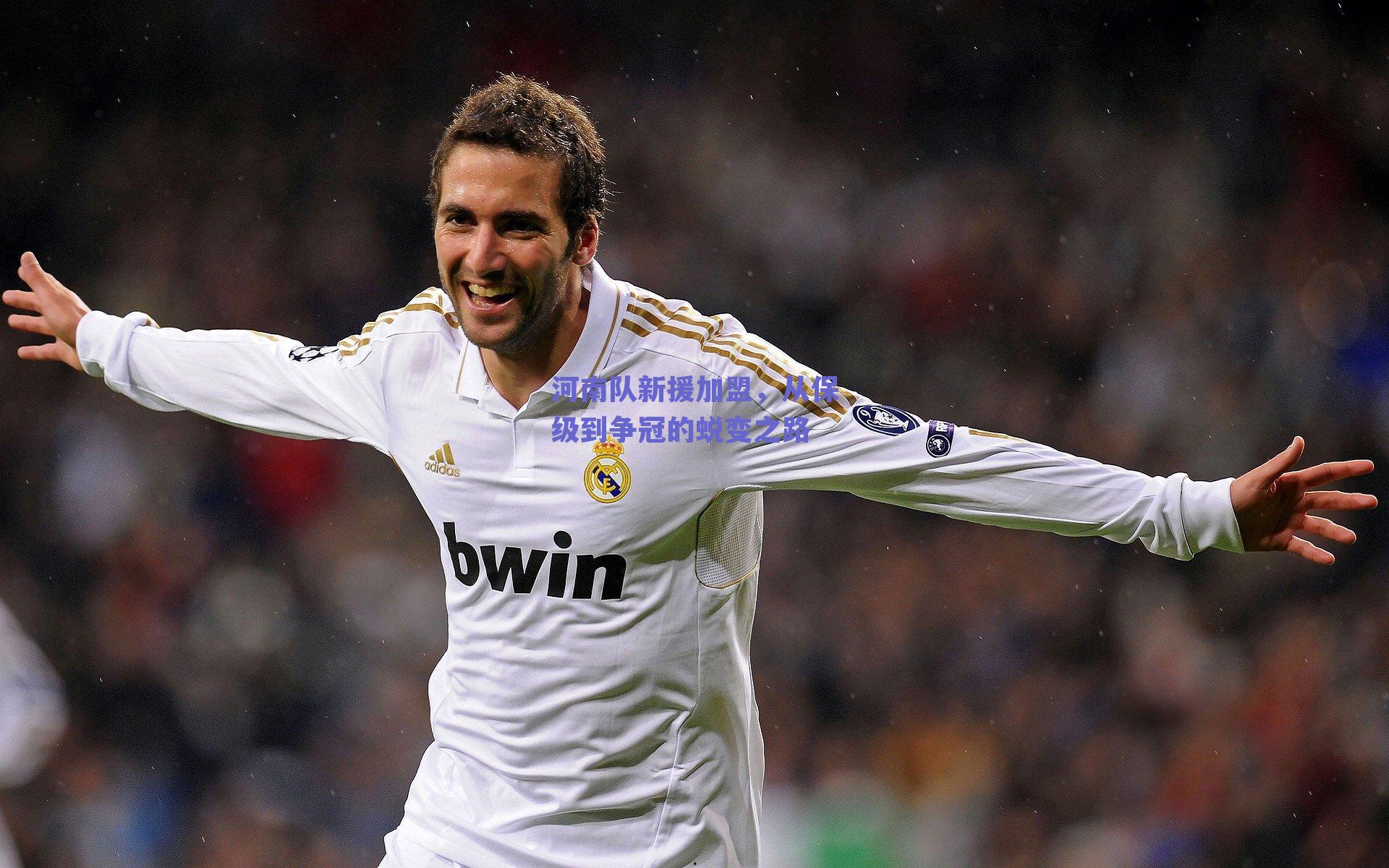 河南队新援加盟，从保级到争冠的蜕变之路